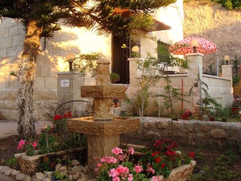 tamer guest house