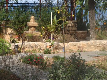 tamer guest house