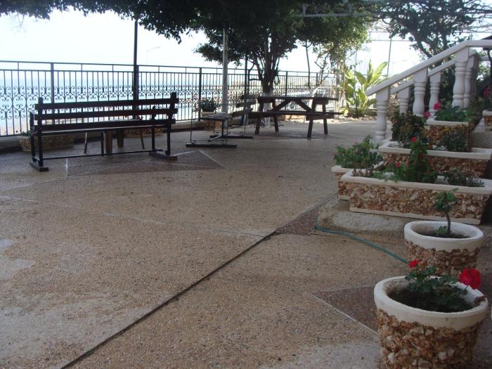 tamer guest house