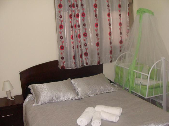 tamer guest house