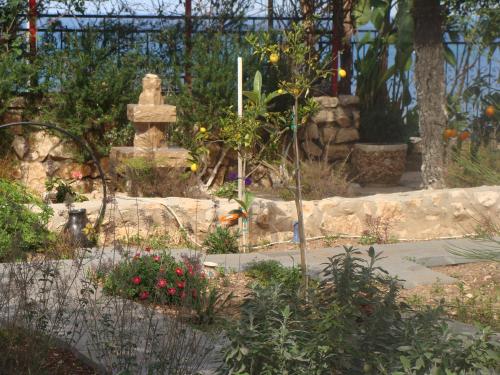 tamer guest house