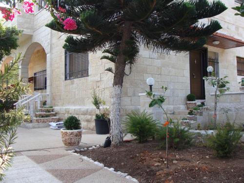 tamer guest house