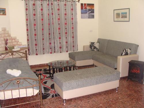 tamer guest house