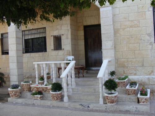 tamer guest house