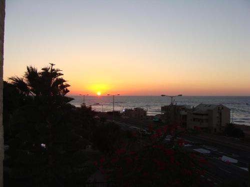 haifa