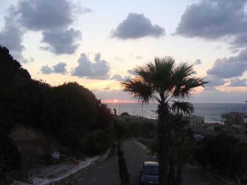 haifa