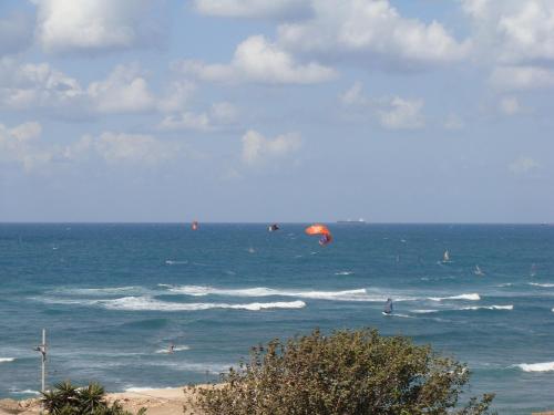 haifa