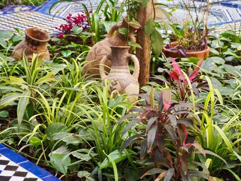 Riad Toyour,Fez>>Fes,3.5 star