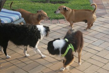 113 On Robberg,George>>Cape Town,3 star