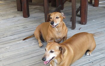 113 On Robberg,George>>Cape Town,3 star