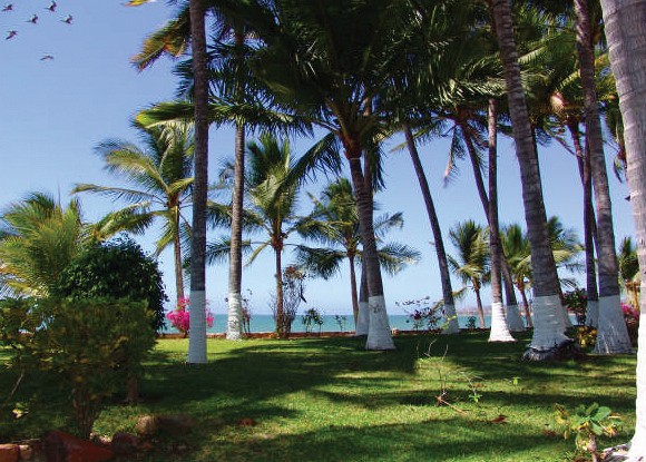 vista vallarta all suites on the beach