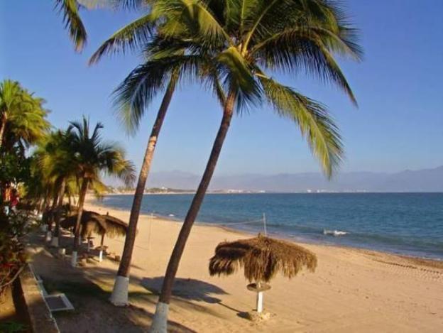 vista vallarta all suites on the beach