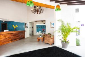 vista vallarta all suites on the beach