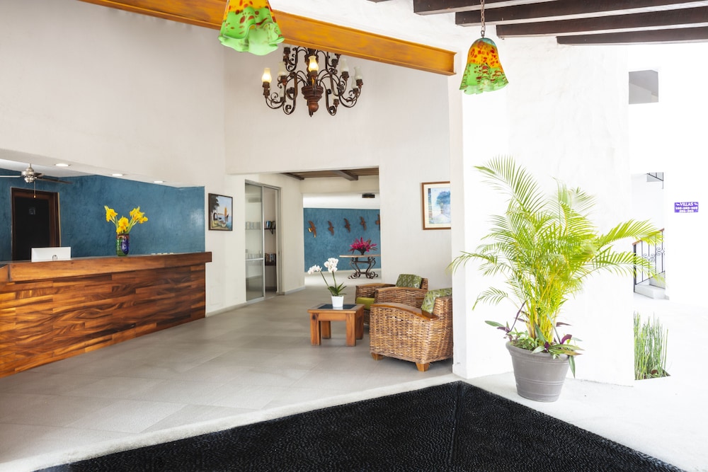 vista vallarta all suites on the beach