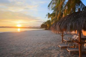 vista vallarta all suites on the beach