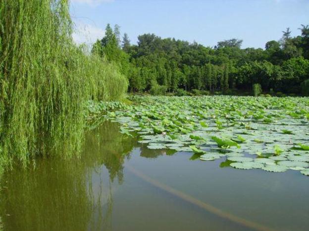 jiangmen