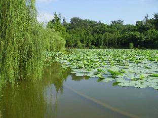 jiangmen