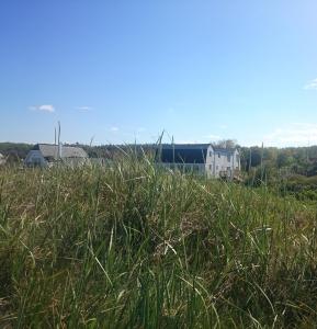 vejby strand hotel