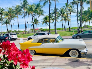 Avalon Hotel,Miami Beach>>Miami,4 star