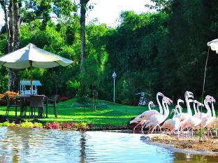 the hill hotel and resort sibolangit powered by archipelago