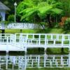 the hill hotel and resort sibolangit powered by archipelago