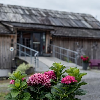 store ringheim hotell og restaurant