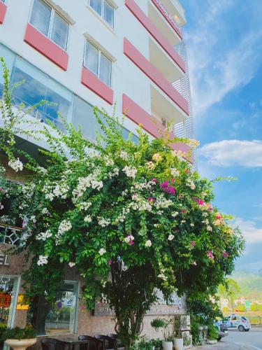 sen trang hotel