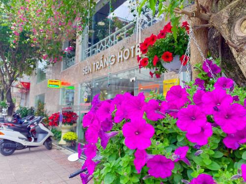 sen trang hotel
