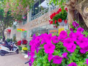 sen trang hotel