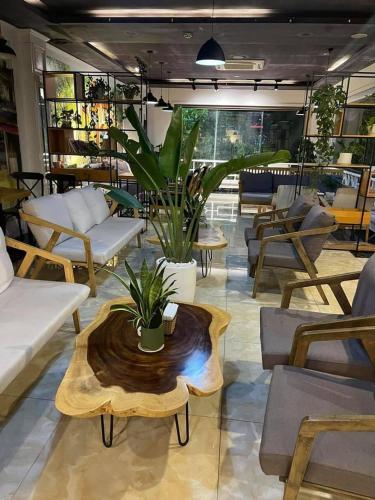 sen trang hotel