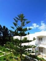 irene hotel