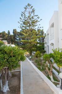 irene hotel