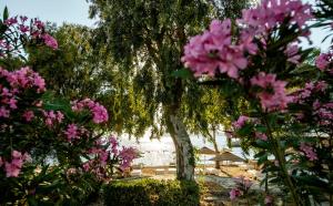 yalipark beach hotel