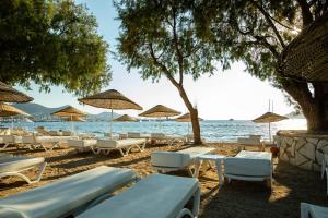 yalipark beach hotel