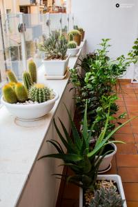 tam casa vacanze