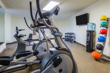 Holiday Inn Mobile-Dwtn/Hist. District By Ihg,Alabama>>Mobile,3 star