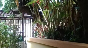 apart hotel casa grande