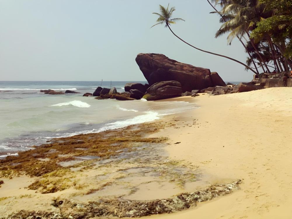 shanthi beach resort