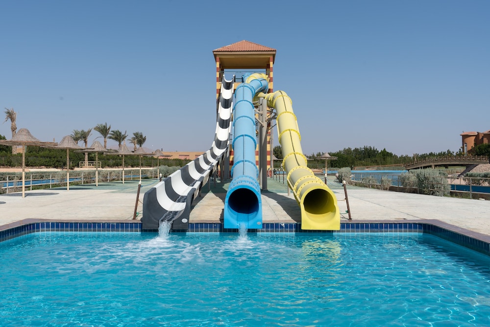parrotel lagoon waterpark resort
