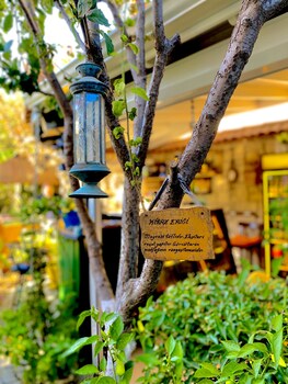 cesme