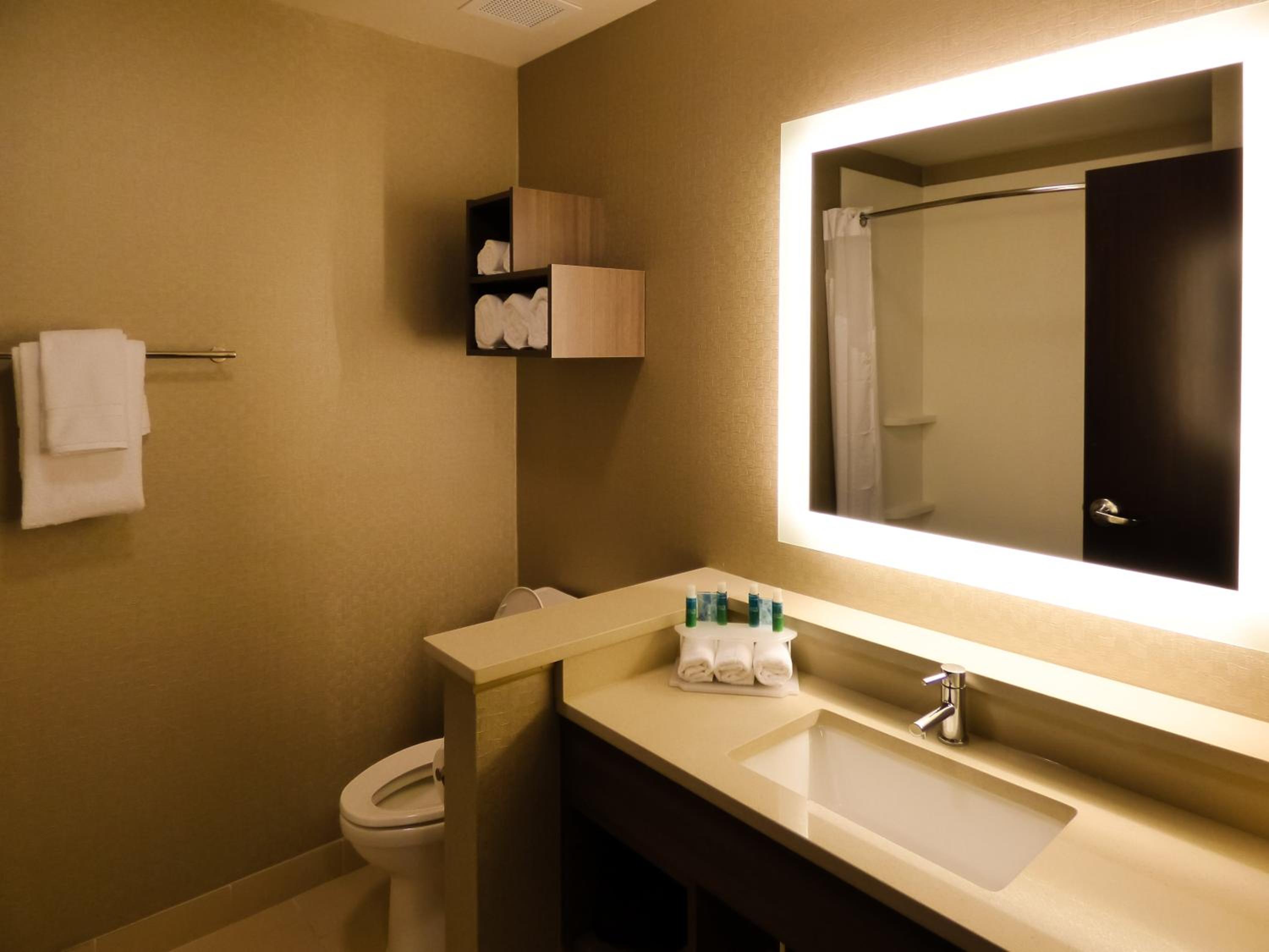 holiday inn express and suites plymouth ann arbor