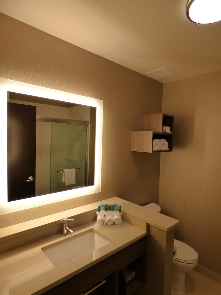 holiday inn express and suites plymouth ann arbor