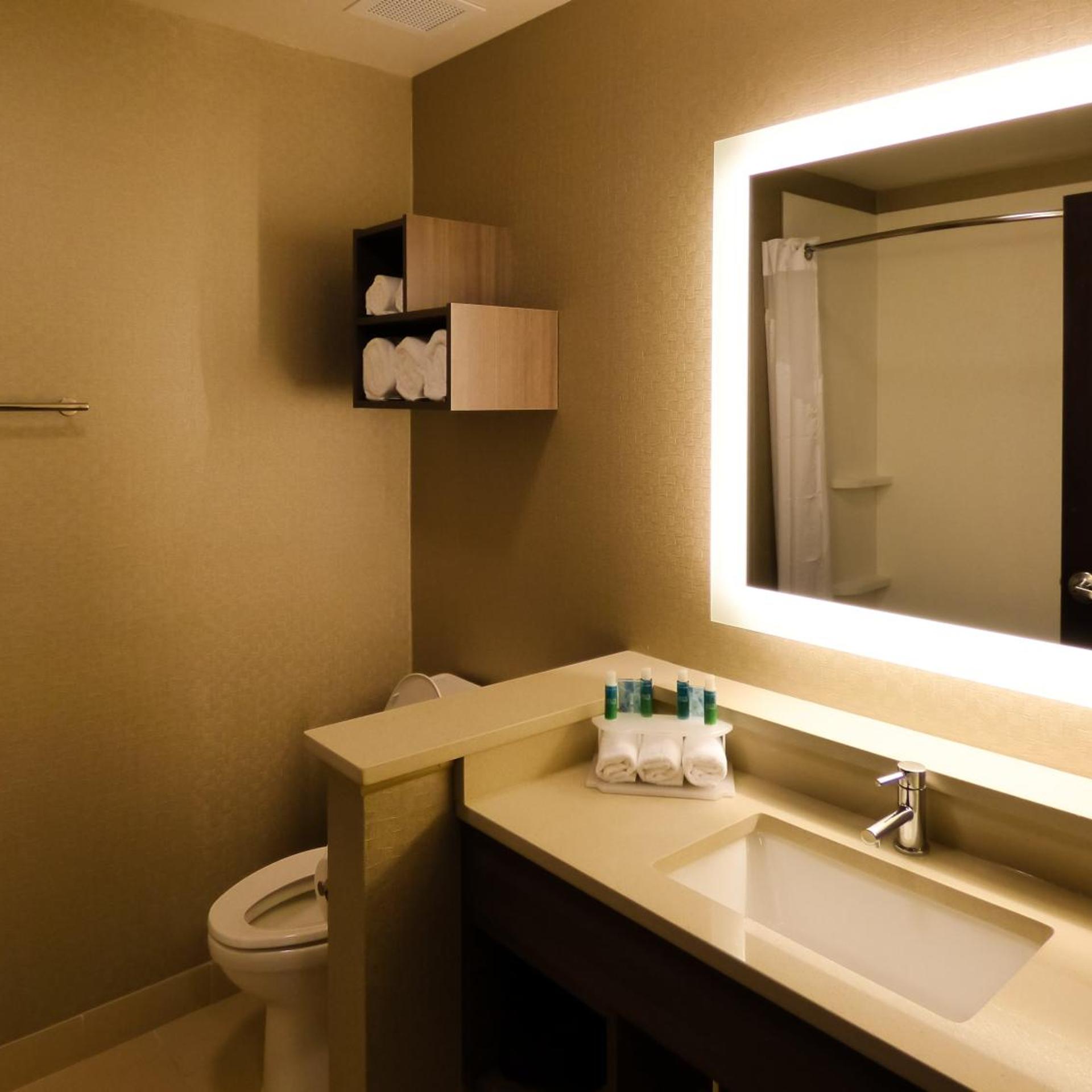 holiday inn express and suites plymouth ann arbor