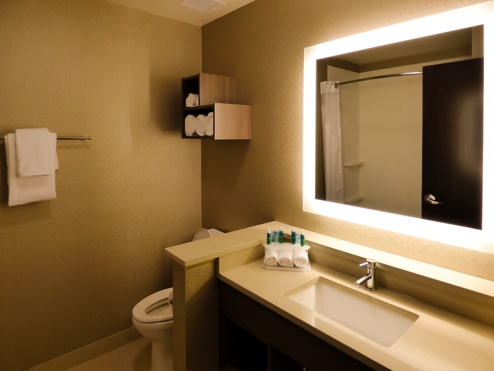 holiday inn express and suites plymouth ann arbor