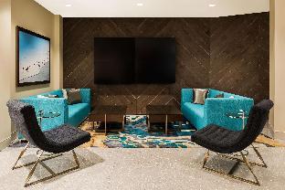 hilton garden inn miami dolphin mall