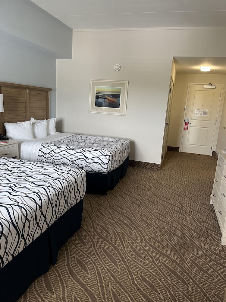 silver slipper casino and hotel adults only