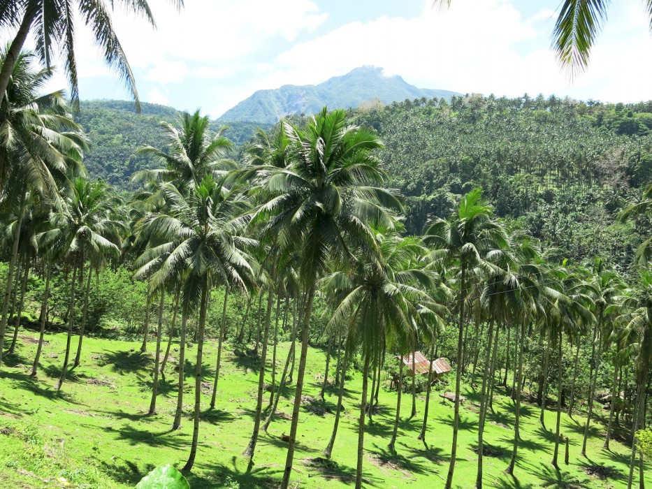 camiguin volcan beach eco retreat and dive resort