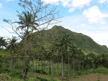 camiguin volcan beach eco retreat and dive resort