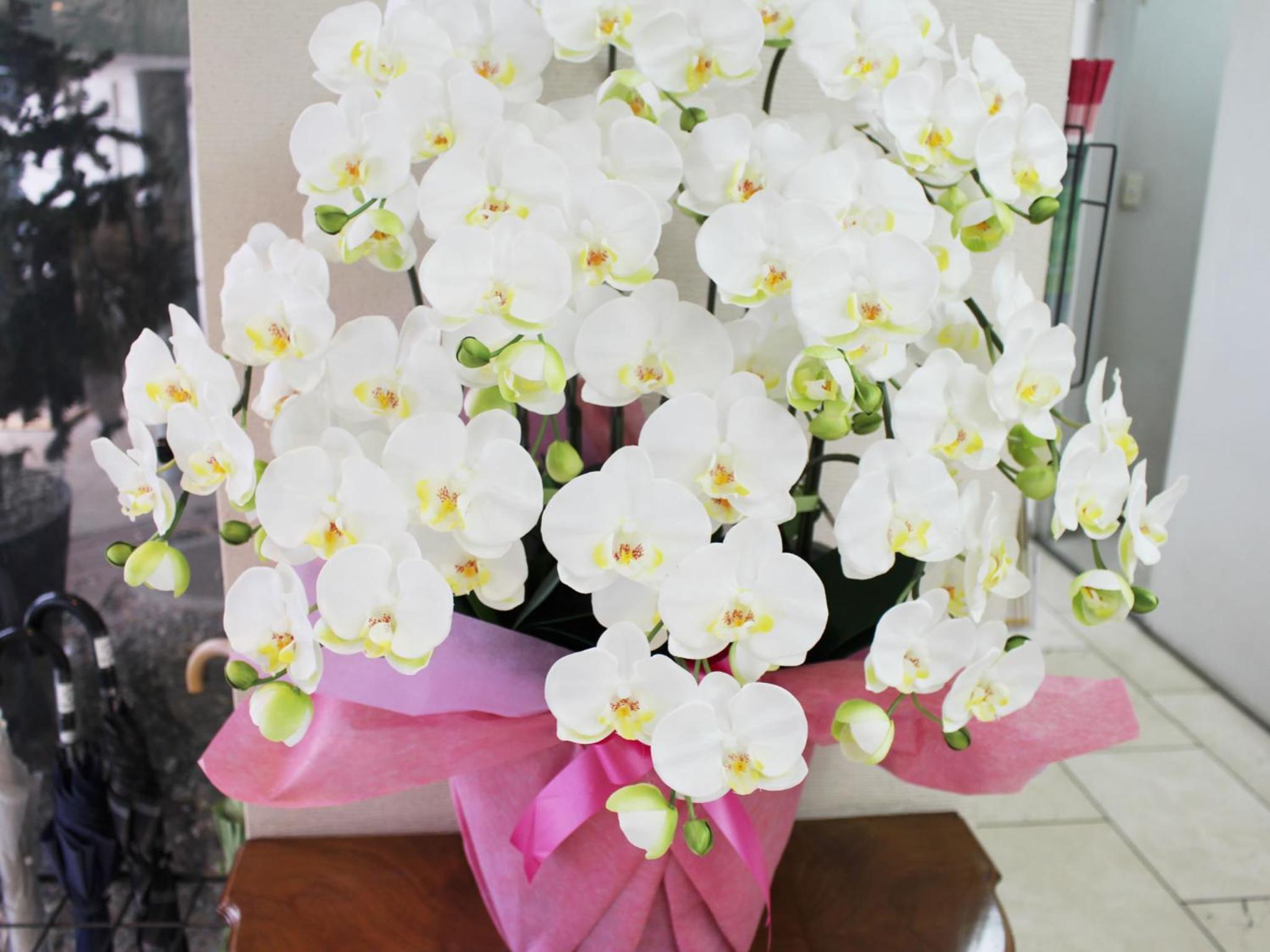 Royal Inn Mito,Mito>>Ibaraki,3 star