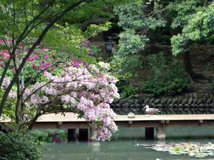 tatsunokuchi onsen matsusaki